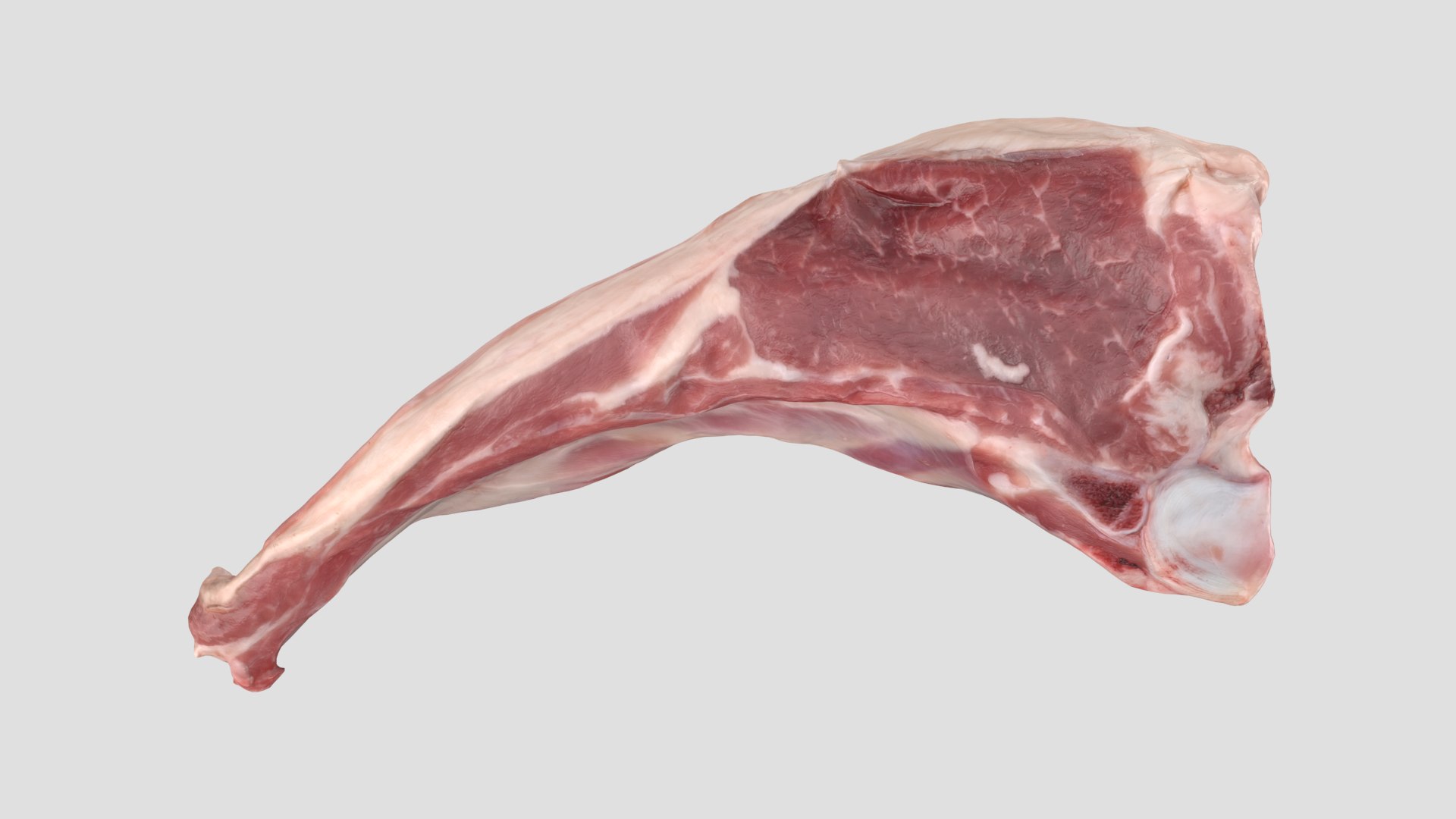 raw-lamb-cutlet-3d-turbosquid-1586872