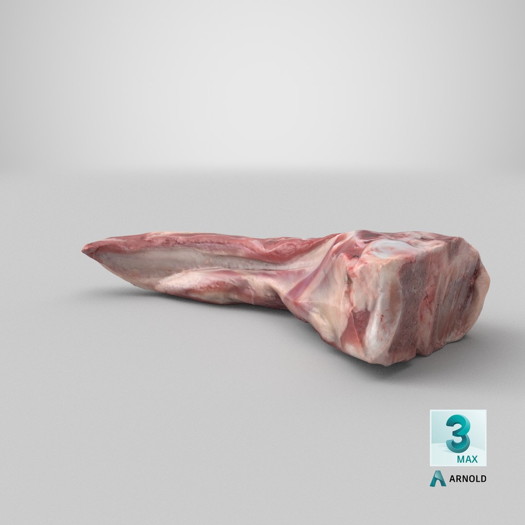 raw lamb cutlet 3D https://p.turbosquid.com/ts-thumb/2S/NmptC5/on/stemcell_max_arnold_render/png/1618747534/1920x1080/fit_q87/e402ee9c6523119372318564ad0e3666734841eb/stemcell_max_arnold_render.jpg