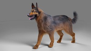 Fur German Shepherd Rigged