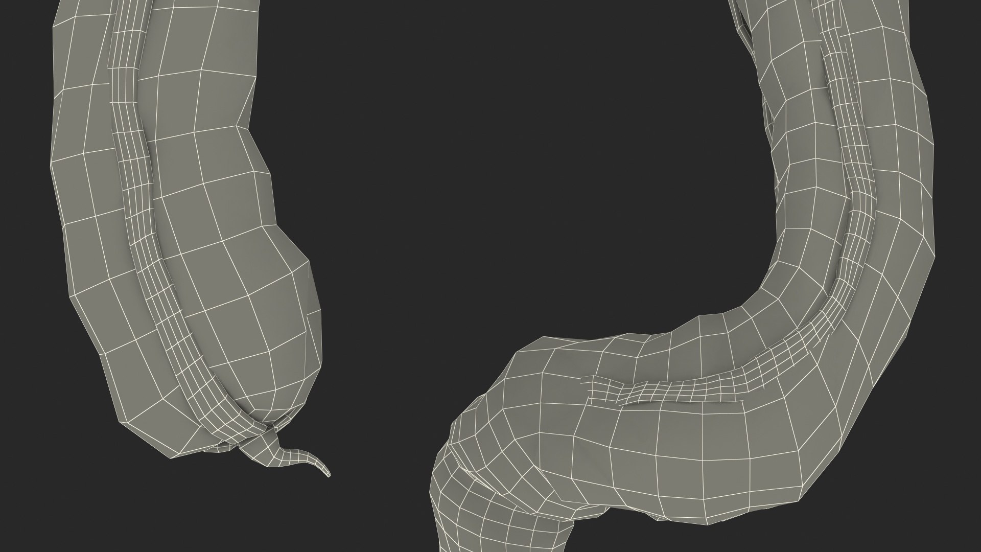 3D Young Man Anatomy Intestines https://p.turbosquid.com/ts-thumb/2S/XNJuql/Qi/youngmananatomyintestines3dsmodel037/jpg/1639670593/1920x1080/fit_q87/66536aebfc89de82acb5af353dfcaaca295f90b8/youngmananatomyintestines3dsmodel037.jpg