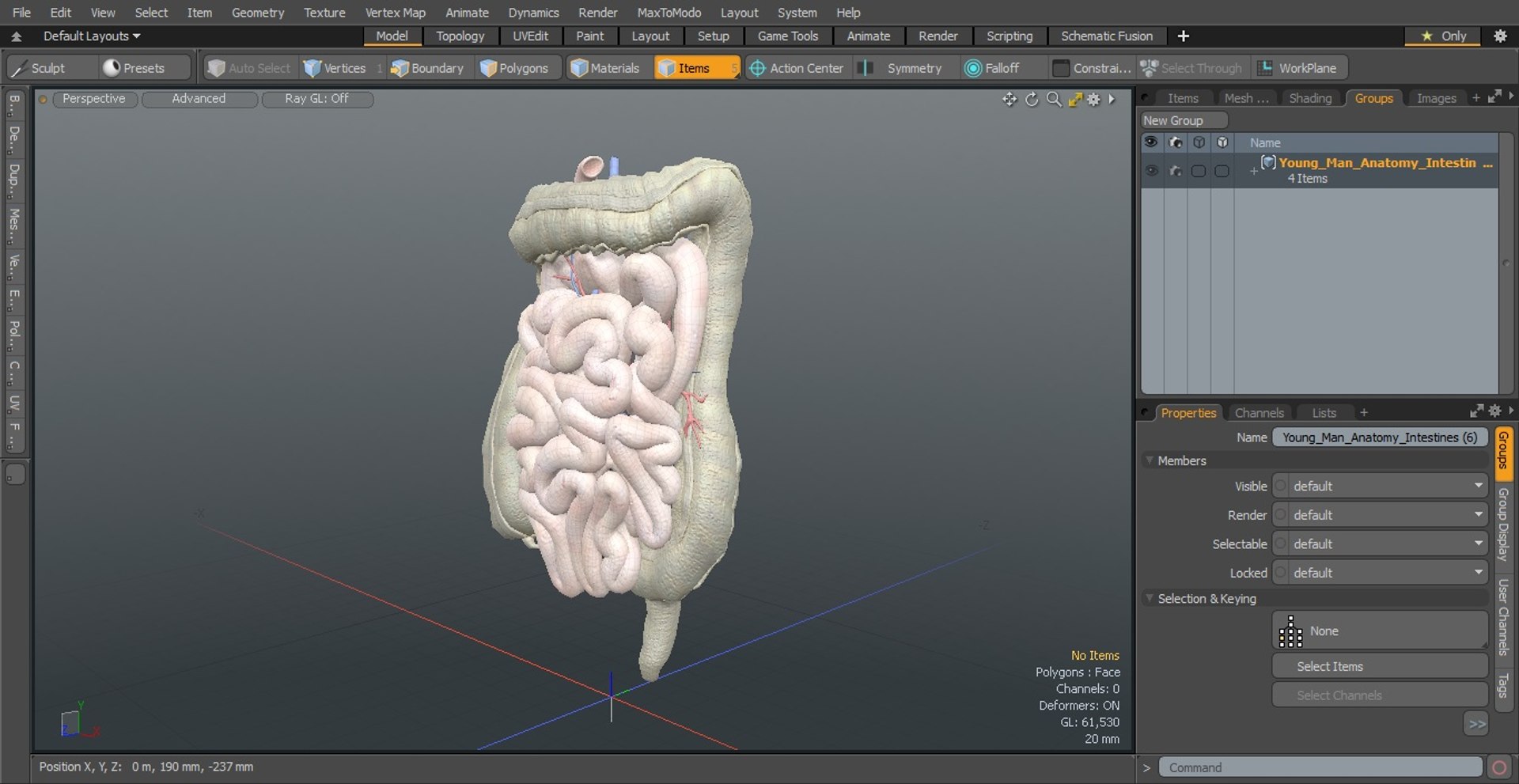 3D Young Man Anatomy Intestines https://p.turbosquid.com/ts-thumb/2S/XNJuql/SE/youngmananatomyintestines3dsmodel027/jpg/1639670563/1920x1080/fit_q87/1d42240946e19088ecd0e51c3f85e5766787771a/youngmananatomyintestines3dsmodel027.jpg