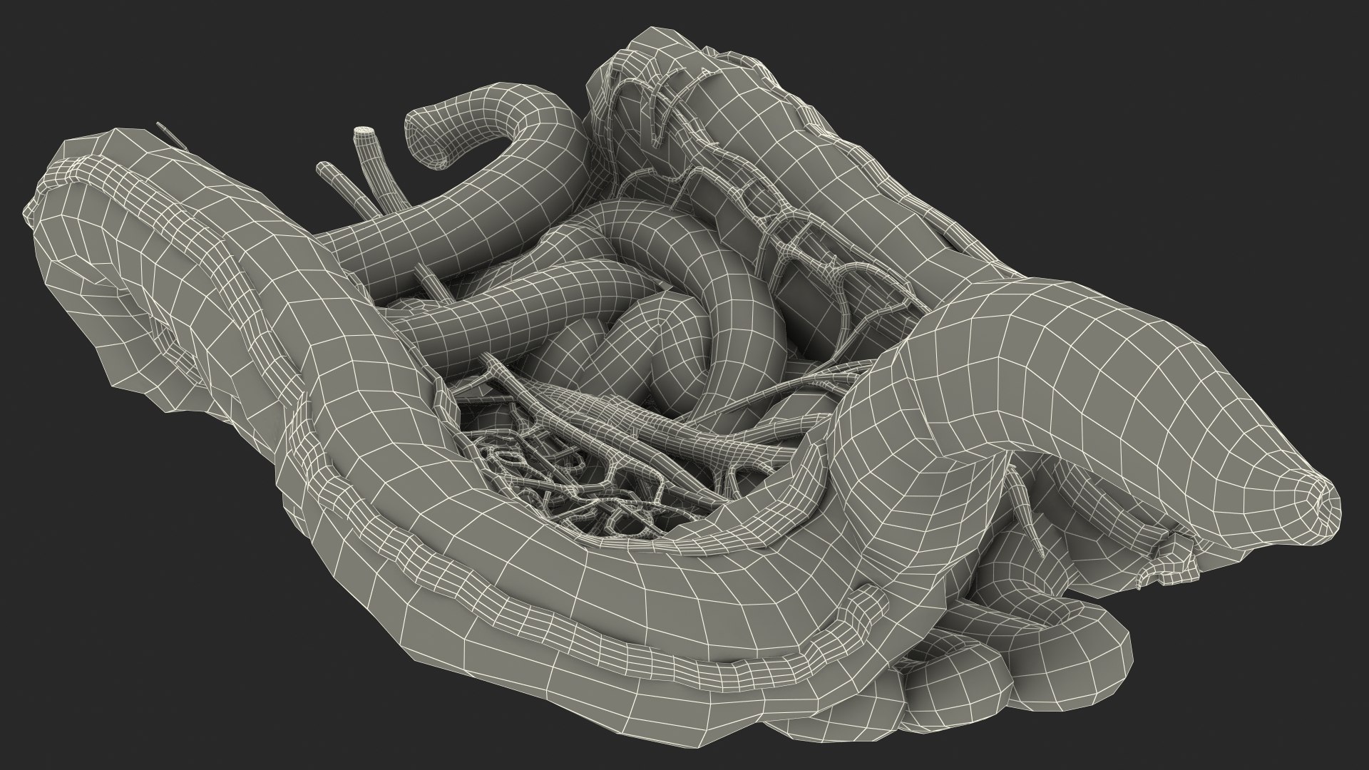 3D Young Man Anatomy Intestines https://p.turbosquid.com/ts-thumb/2S/XNJuql/Tp/youngmananatomyintestines3dsmodel032/jpg/1639670577/1920x1080/fit_q87/198bf942e0e73c7c1aba38cc141f9336e606dbc0/youngmananatomyintestines3dsmodel032.jpg
