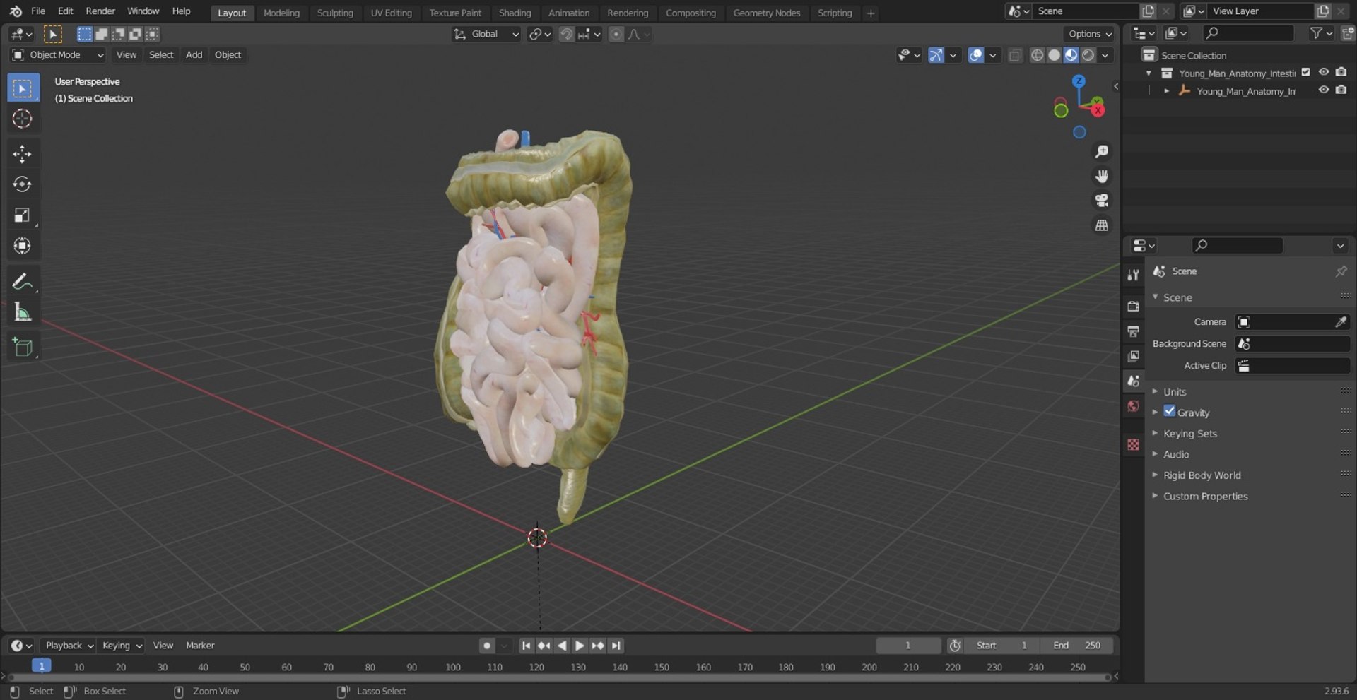3D Young Man Anatomy Intestines https://p.turbosquid.com/ts-thumb/2S/XNJuql/VR/youngmananatomyintestines3dsmodel030/jpg/1639670571/1920x1080/fit_q87/98c2f2cc89a283d23ba2a382fde8537d626d2795/youngmananatomyintestines3dsmodel030.jpg