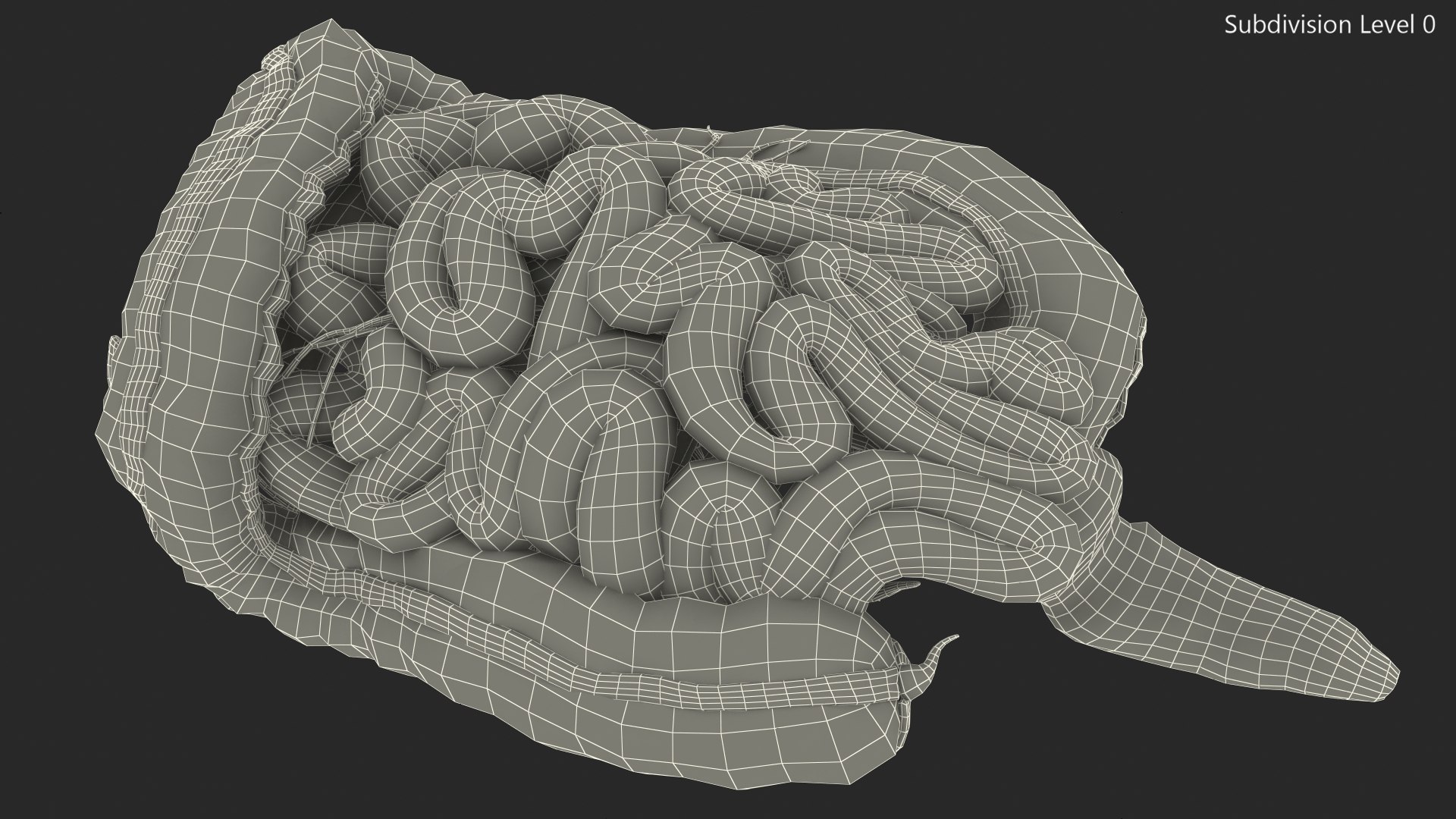 3D Young Man Anatomy Intestines https://p.turbosquid.com/ts-thumb/2S/XNJuql/VW/youngmananatomyintestines3dsmodel022/jpg/1639670548/1920x1080/fit_q87/18048ab60134dbd4c56b07b4a16cf8a4cf7e3bdd/youngmananatomyintestines3dsmodel022.jpg