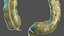 Junger Mann Anatomie Darm