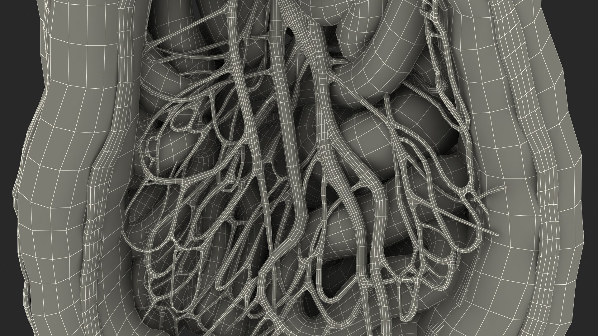 3D Young Man Anatomy Intestines https://p.turbosquid.com/ts-thumb/2S/XNJuql/go/youngmananatomyintestines3dsmodel035/jpg/1639670587/1920x1080/fit_q87/dc01244689661b9249b85df70530118c3d6ff965/youngmananatomyintestines3dsmodel035.jpg