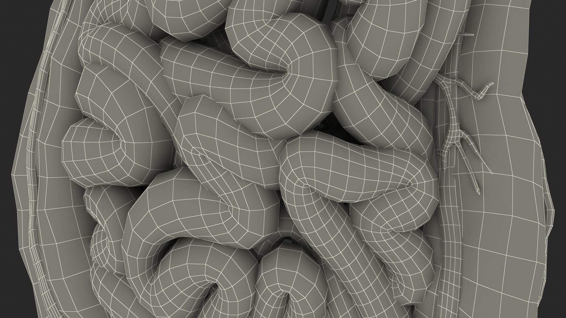 3D Young Man Anatomy Intestines https://p.turbosquid.com/ts-thumb/2S/XNJuql/jm/youngmananatomyintestines3dsmodel034/jpg/1639670584/1920x1080/fit_q87/920a6d5967281533fec44e64fae7358260415e08/youngmananatomyintestines3dsmodel034.jpg