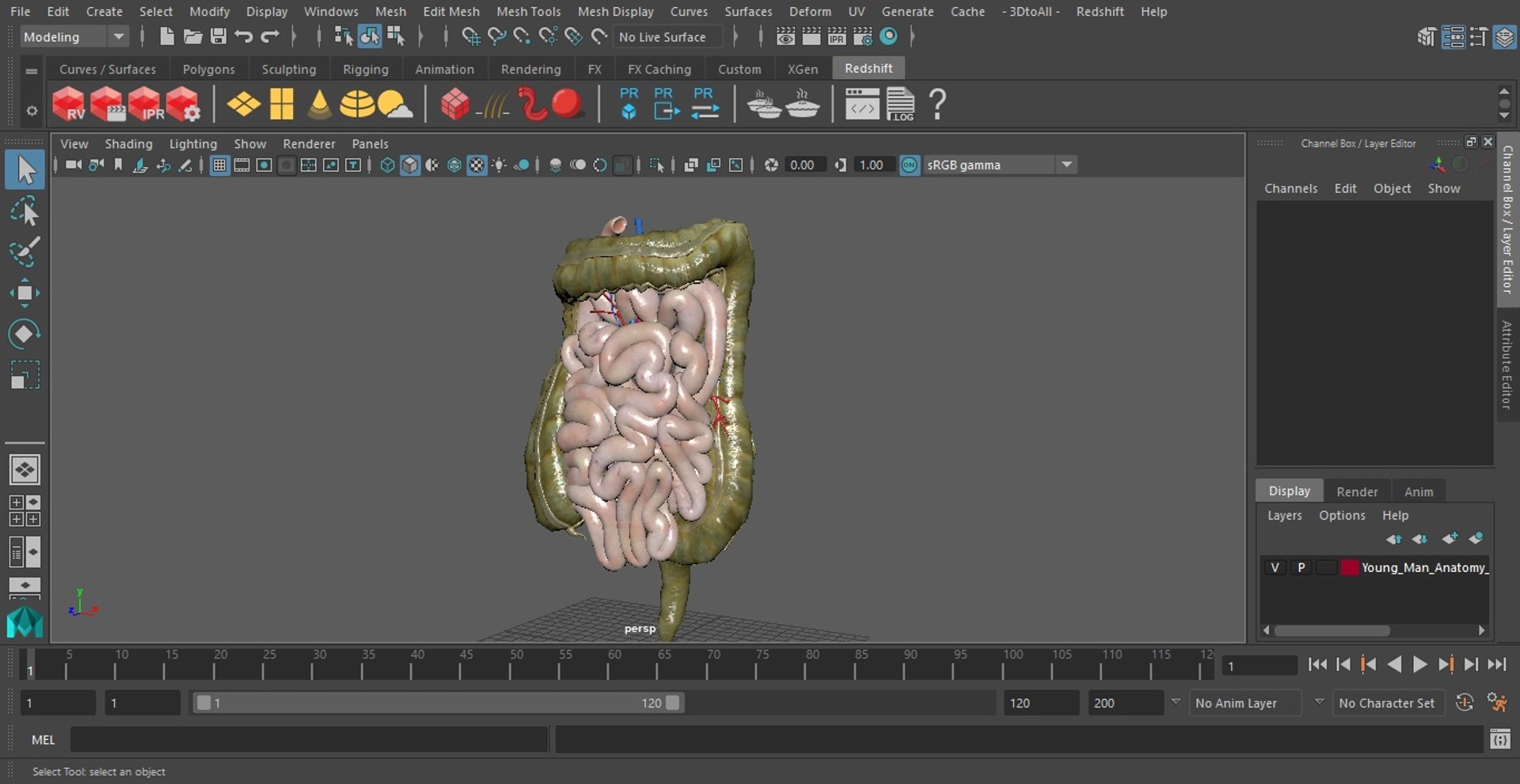 3D Young Man Anatomy Intestines https://p.turbosquid.com/ts-thumb/2S/XNJuql/og/youngmananatomyintestines3dsmodel029/jpg/1639670569/1920x1080/fit_q87/ec37841a77f10feb4f8f222ea6e09d8a360f94ad/youngmananatomyintestines3dsmodel029.jpg