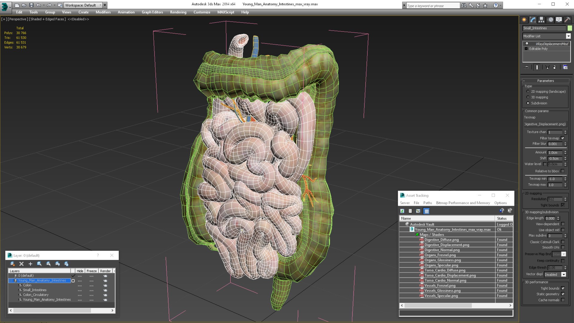 3D Young Man Anatomy Intestines https://p.turbosquid.com/ts-thumb/2S/XNJuql/pj/youngmananatomyintestines3dsmodel026/jpg/1639670560/1920x1080/fit_q87/e49b9b50f653cf84d7792daff1b2cc480500f12c/youngmananatomyintestines3dsmodel026.jpg