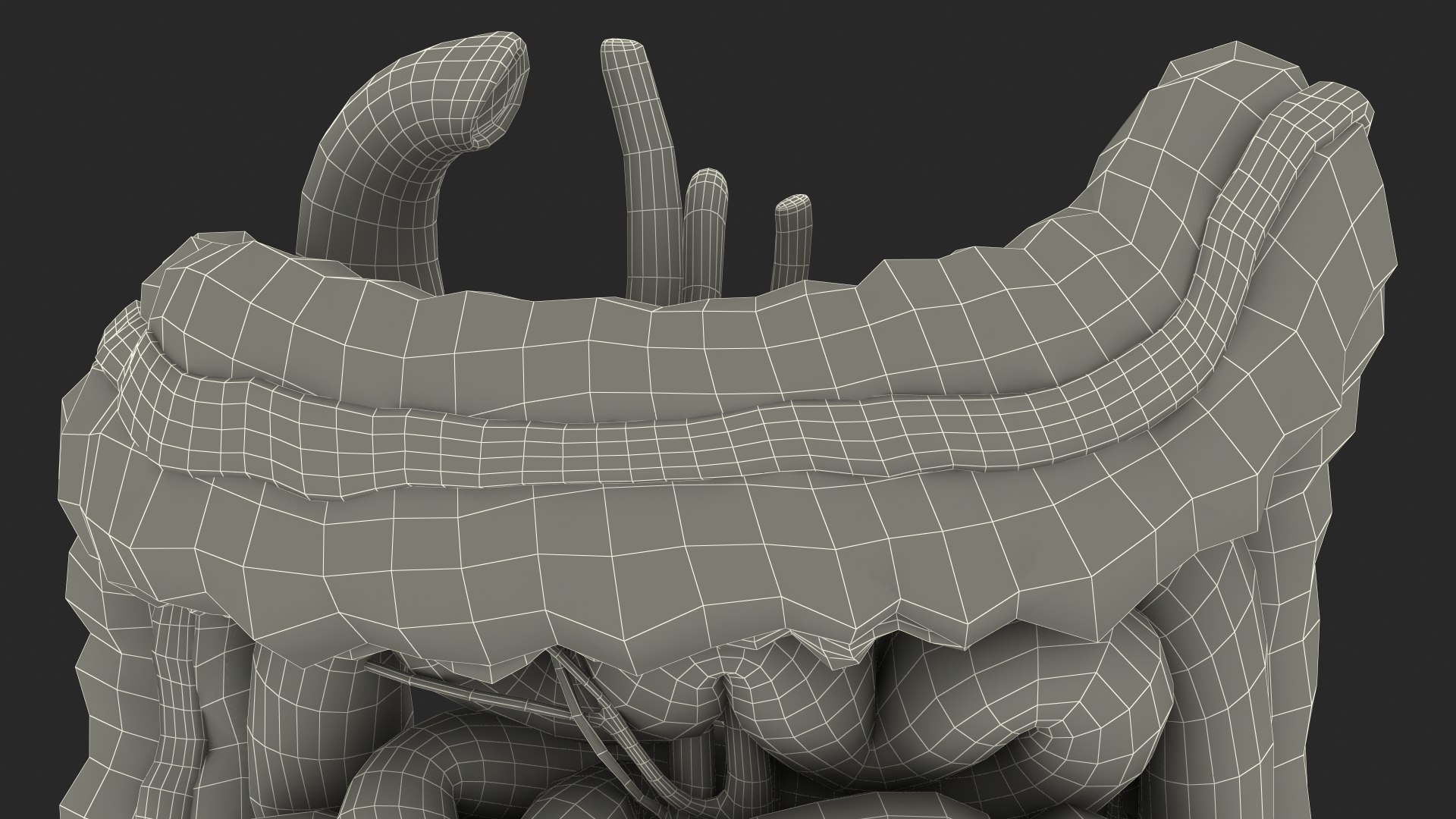 3D Young Man Anatomy Intestines https://p.turbosquid.com/ts-thumb/2S/XNJuql/te/youngmananatomyintestines3dsmodel033/jpg/1639670580/1920x1080/fit_q87/e0d787760f1332461750688281783bd6ba44a200/youngmananatomyintestines3dsmodel033.jpg