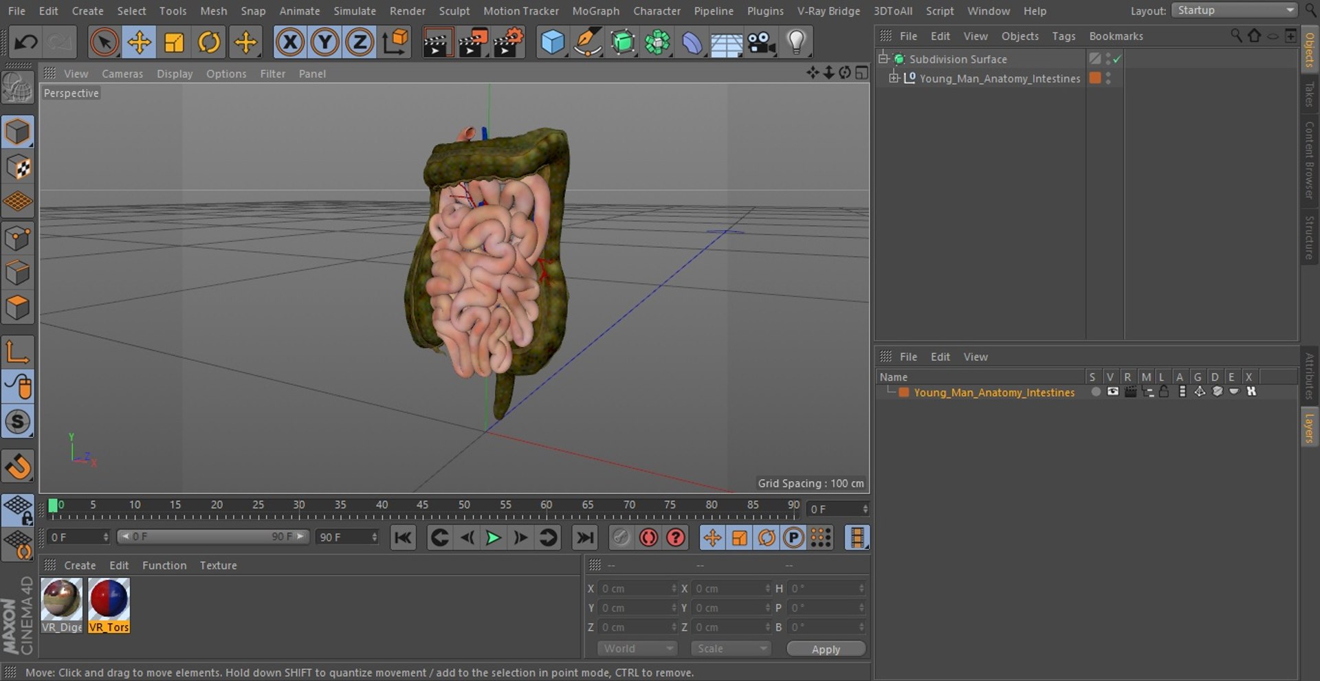 3D Young Man Anatomy Intestines https://p.turbosquid.com/ts-thumb/2S/XNJuql/yV/youngmananatomyintestines3dsmodel028/jpg/1639670566/1920x1080/fit_q87/abe158986b4890c7321b6c2d8b49f697256c2ba9/youngmananatomyintestines3dsmodel028.jpg