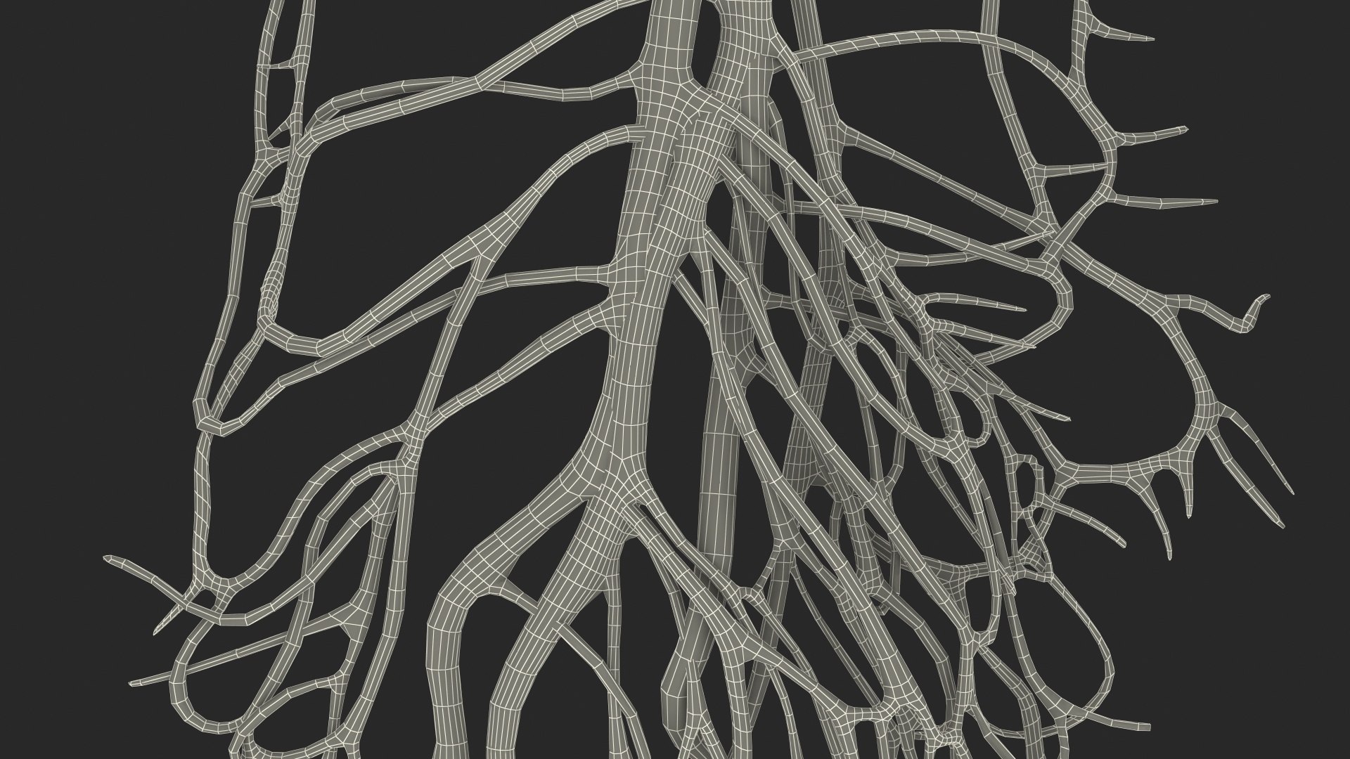 3D Young Man Anatomy Intestines https://p.turbosquid.com/ts-thumb/2S/XNJuql/zO/youngmananatomyintestines3dsmodel038/jpg/1639670596/1920x1080/fit_q87/55fe3a1f793f3f56152371c26ed47120393517fd/youngmananatomyintestines3dsmodel038.jpg