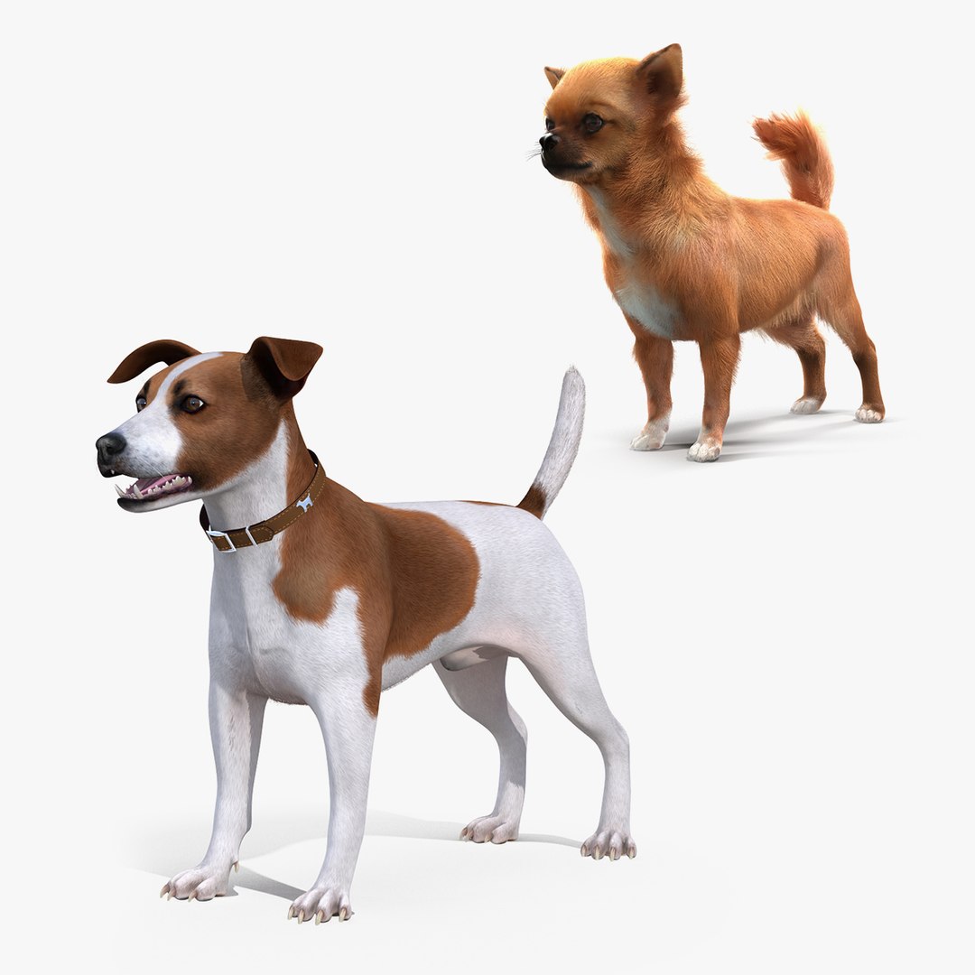 Dogs Collection 3D model preview