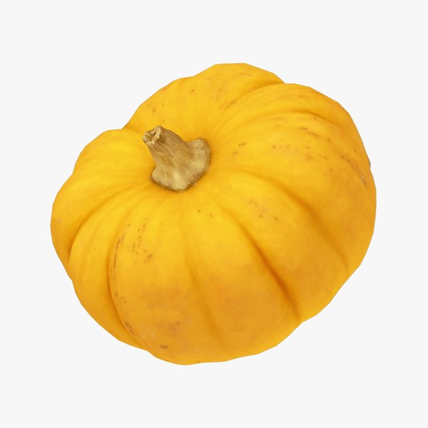 Mini Pumpkin - Real-Time 3D Scanned 3D model