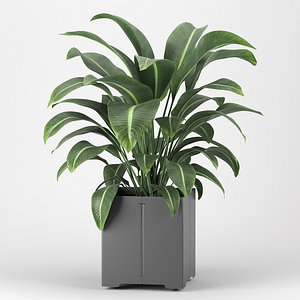 3D plant pot cape
