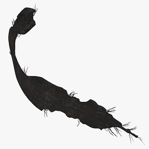 Tire Section 011 model