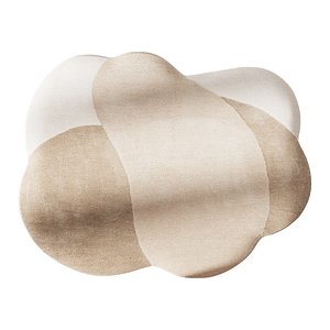 Denton rug 140x110sm 3D model