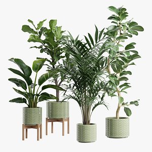 3D Indoor Plants Pack 83
