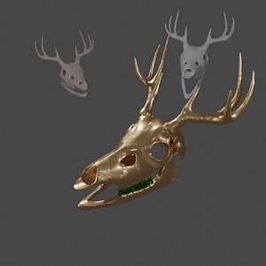 skull anatomy deer 3D model