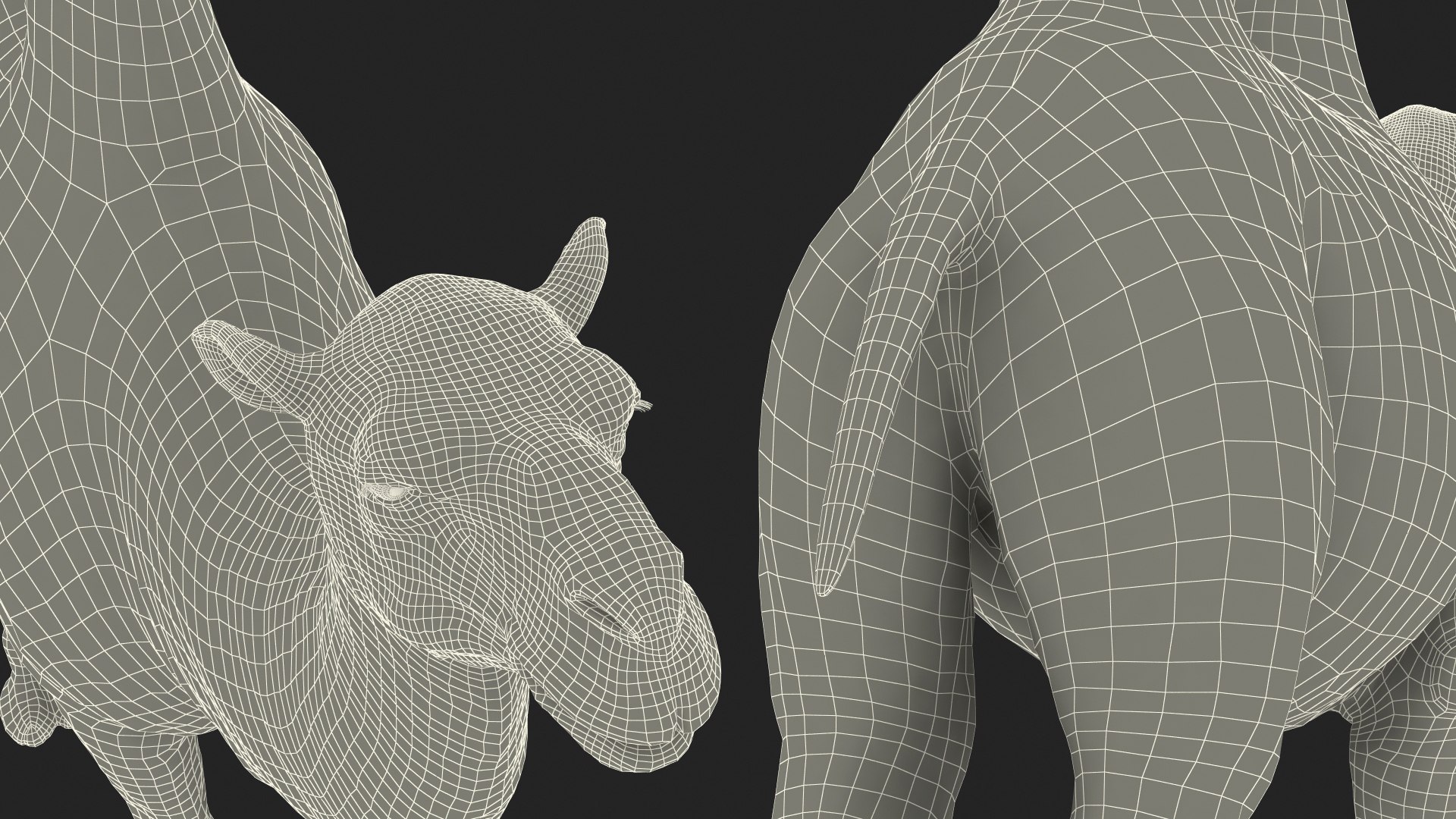 3D Bactrian Camel Fur https://p.turbosquid.com/ts-thumb/2T/ADneuO/A7/bactriancamelfurvray3dmodel028/jpg/1724713213/1920x1080/fit_q87/a79030d51ca593d948d3ffefc6f5e0a2b3069366/bactriancamelfurvray3dmodel028.jpg