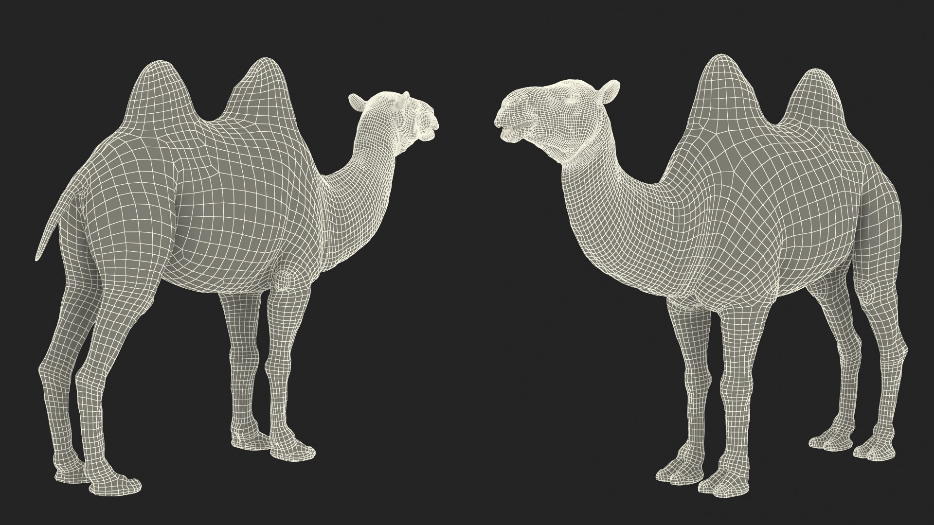 3D Bactrian Camel Fur https://p.turbosquid.com/ts-thumb/2T/ADneuO/Ag/bactriancamelfurvray3dmodel025/jpg/1724713202/1920x1080/fit_q87/f7d32a03ae95c1fd8f21c30c36c9176ad61047e2/bactriancamelfurvray3dmodel025.jpg