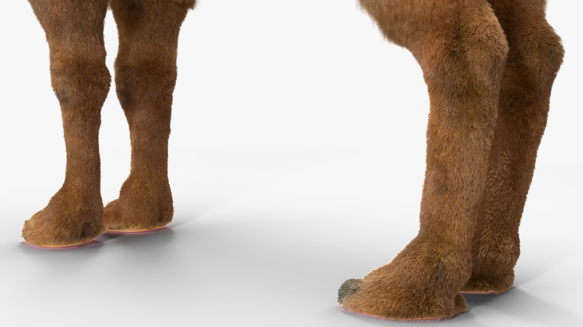 3D Bactrian Camel Fur https://p.turbosquid.com/ts-thumb/2T/ADneuO/dz/bactriancamelfurvray3dmodel015/jpg/1724713164/1920x1080/fit_q87/b01d97f5002d6a0ba12d9e876a1f7d2b50508361/bactriancamelfurvray3dmodel015.jpg