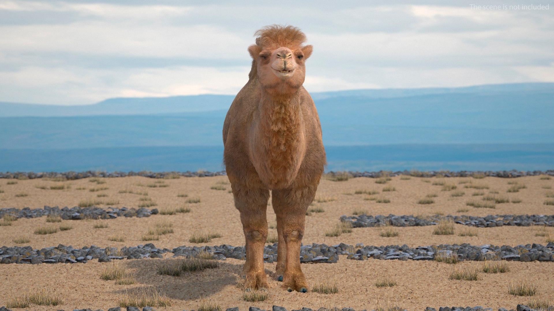 3D Bactrian Camel Fur https://p.turbosquid.com/ts-thumb/2T/ADneuO/n4/bactriancamelfurvray3dmodel002/jpg/1724713115/1920x1080/fit_q87/4ffb202b57e7df2f5a986276da0dd96836ec8316/bactriancamelfurvray3dmodel002.jpg