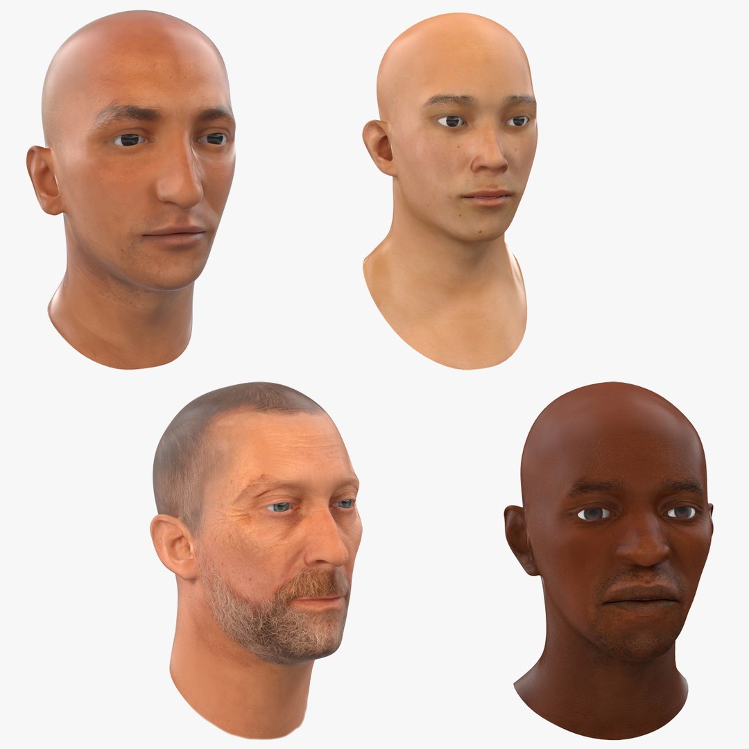 Male Heads Collection 3D model preview