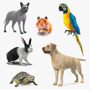 3D Rigged Pets Collection