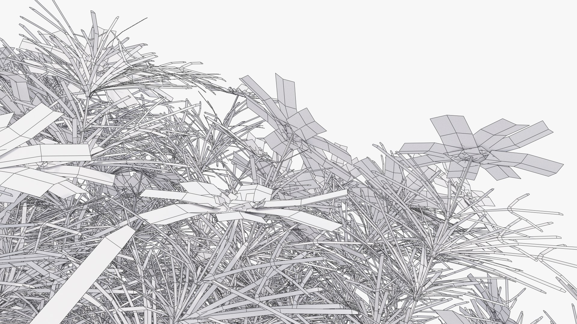 3D Coreopsis verticillata Grandiflora https://p.turbosquid.com/ts-thumb/2T/NQUiAu/6M/wire3copy/png/1686939526/1920x1080/fit_q87/1628f54678b4879dd7baa747a975a68f61211e8b/wire3copy.jpg