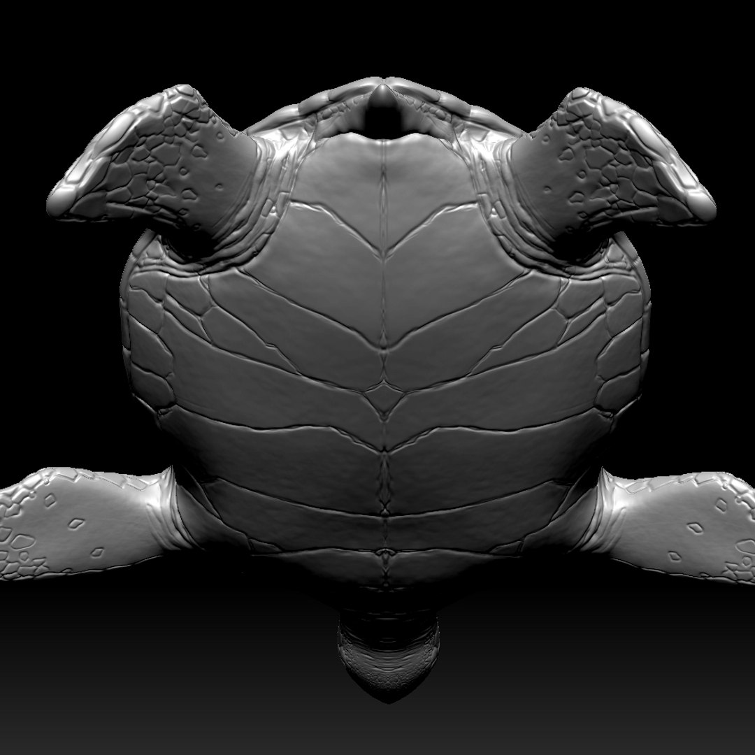 3ds sea turtle zbrush https://p.turbosquid.com/ts-thumb/2T/XxPD5j/PrOyJbMr/13/jpg/1391567822/1920x1080/fit_q87/323807172ff9cf56a71046088723d18d2ca661ab/13.jpg