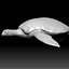Tartaruga Marinha Zbrush