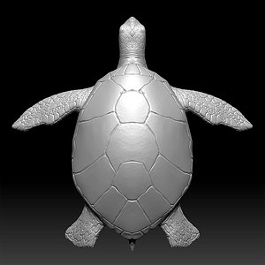 Sea Turtle Zbrush