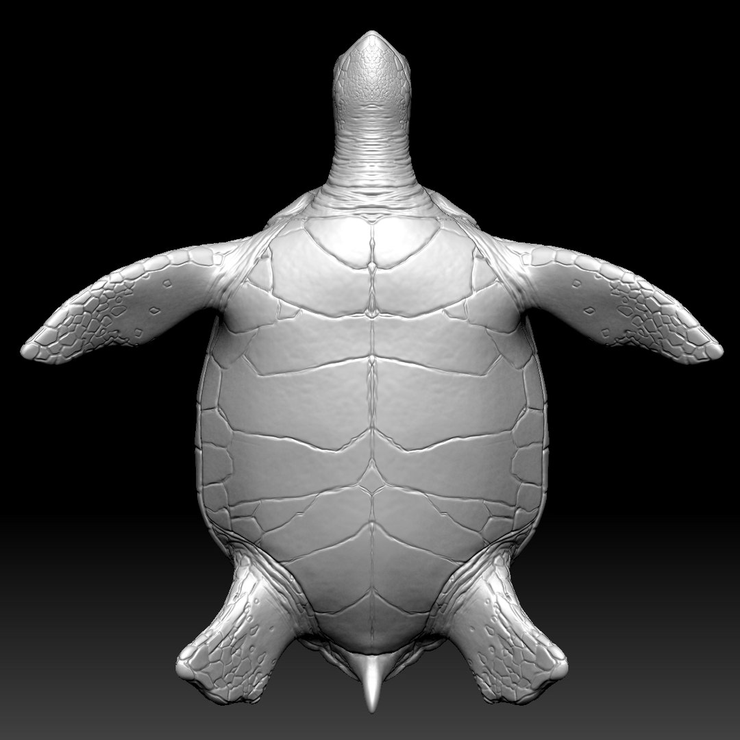 3ds sea turtle zbrush https://p.turbosquid.com/ts-thumb/2T/XxPD5j/ypswZVCm/10/jpg/1391567822/1920x1080/fit_q87/7c34760ffd2eb7274438043c377420b5ff610277/10.jpg
