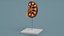 Kidney Section Model