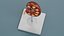 Kidney Section Model