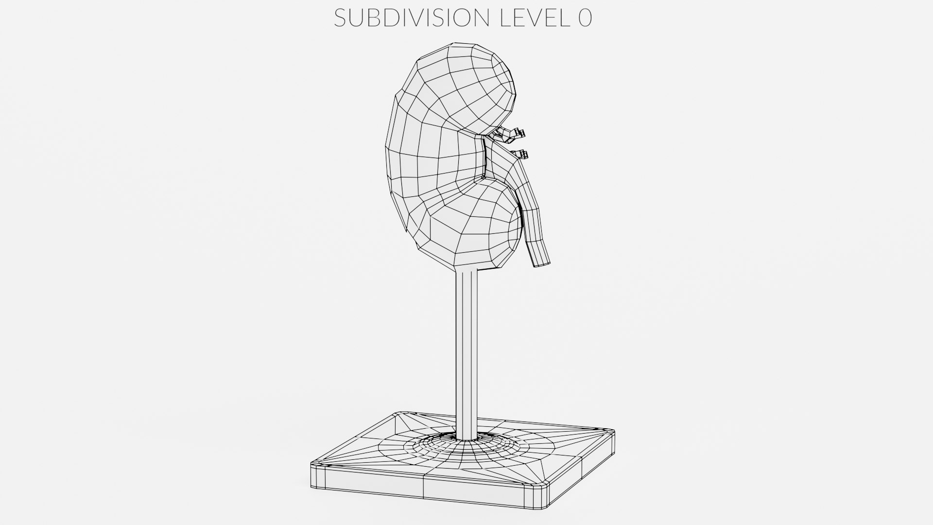 3D Kidney Section Model https://p.turbosquid.com/ts-thumb/2T/Y9Im5h/q4/kidneysectionmodelw2/png/1676118921/1920x1080/fit_q87/6e2f95e539cd5d27e9078be65d991a0127431ebc/kidneysectionmodelw2.jpg