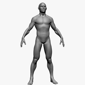 Male Basemesh v3 3D model