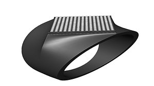 3D Ring Jewelry model