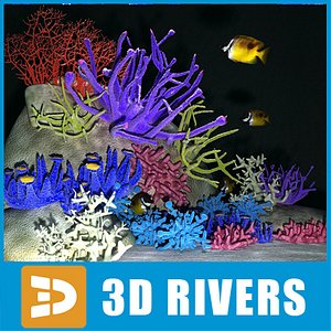set corals 01 3d model