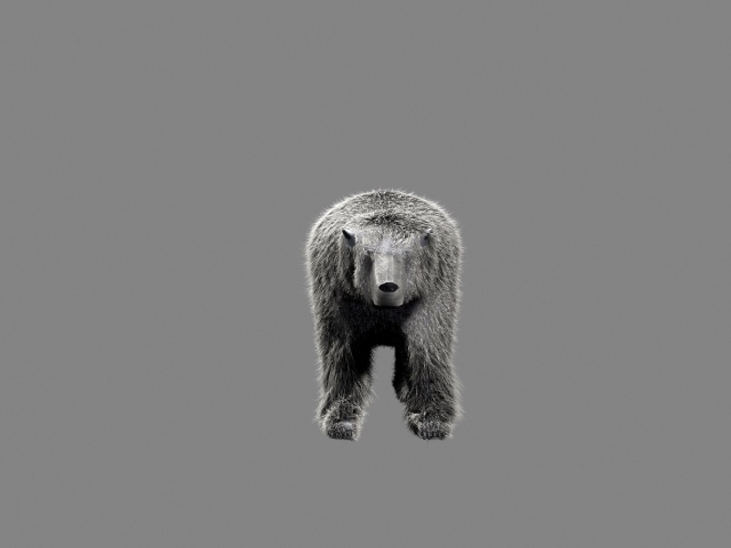 3d polar bear https://p.turbosquid.com/ts-thumb/2T/seDxru/1oo6lL1N/bearfront/jpg/1334679309/1920x1080/fit_q87/6c97cc399eef3c841096cacd5b4ccae798a7f3ad/bearfront.jpg