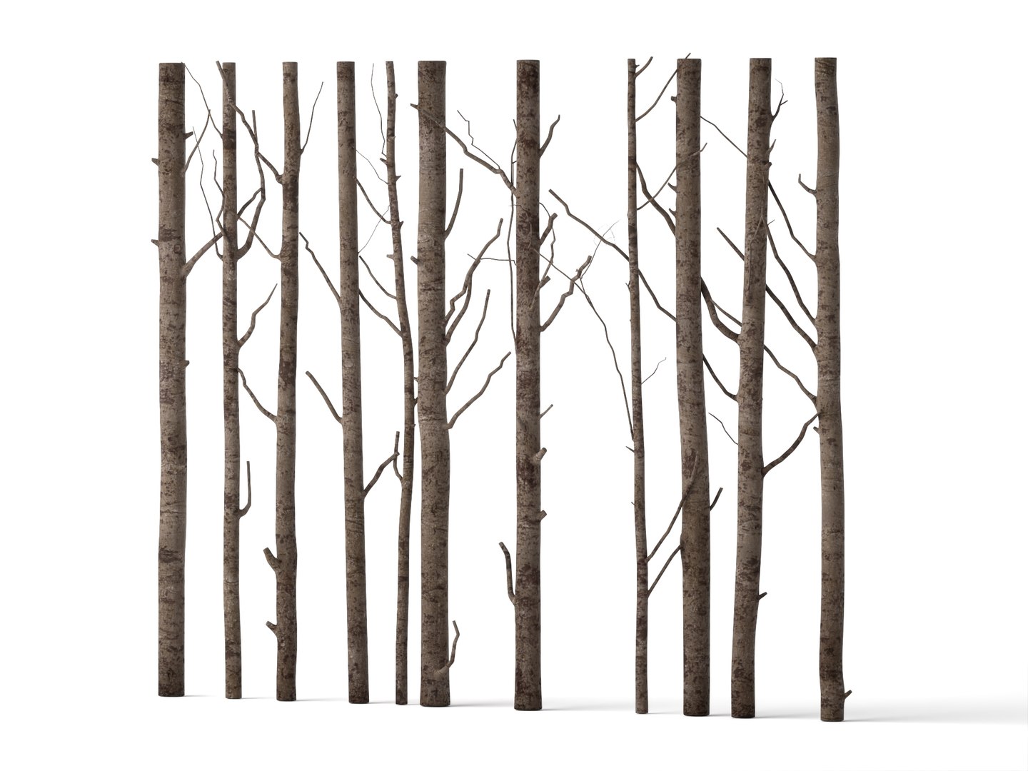 3D model Bare Tree Trunks Collection 3D Model https://p.turbosquid.com/ts-thumb/2T/t95MWZ/0R/756123652/jpg/1788835240/1920x1080/fit_q87/abd5a897223b0f993f0d911a7c581bb89d69af50/756123652.jpg