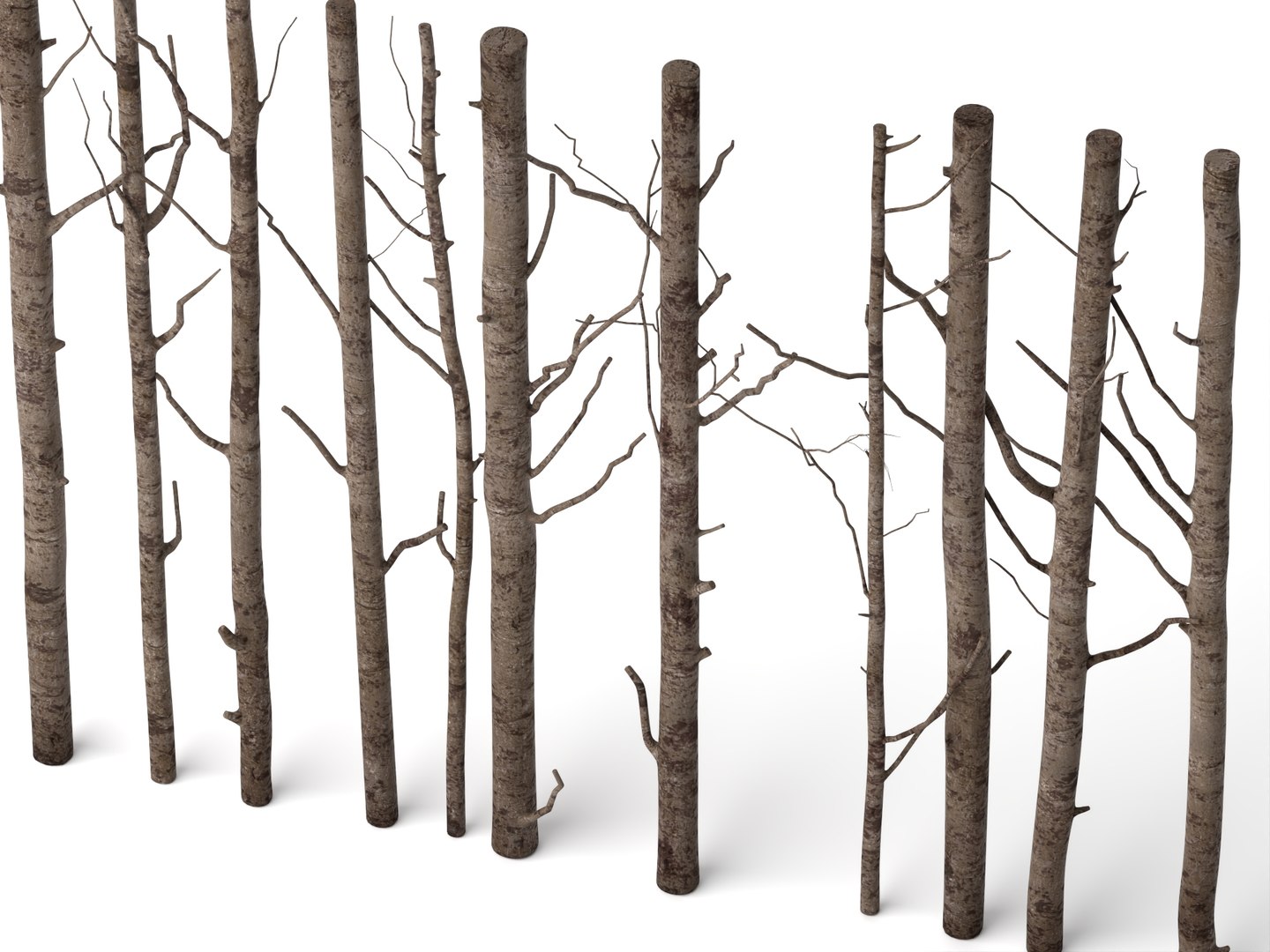 3D model Bare Tree Trunks Collection 3D Model https://p.turbosquid.com/ts-thumb/2T/t95MWZ/RK/756123654/jpg/1788835245/1920x1080/fit_q87/5054c6b7ef4fe0b2905a7fae8cbb30b7cc0402e5/756123654.jpg