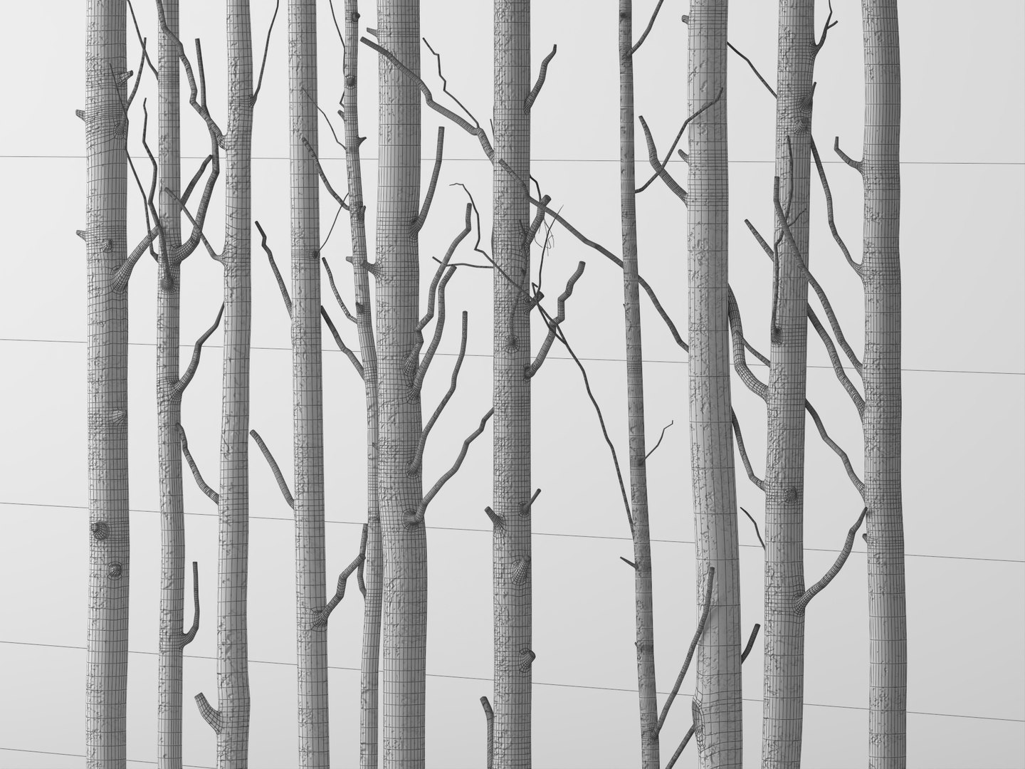 3D model Bare Tree Trunks Collection 3D Model https://p.turbosquid.com/ts-thumb/2T/t95MWZ/ek/756123659/jpg/1788835251/1920x1080/fit_q87/79ed6fb8eba857986cc6ca054b2d5789dec65837/756123659.jpg