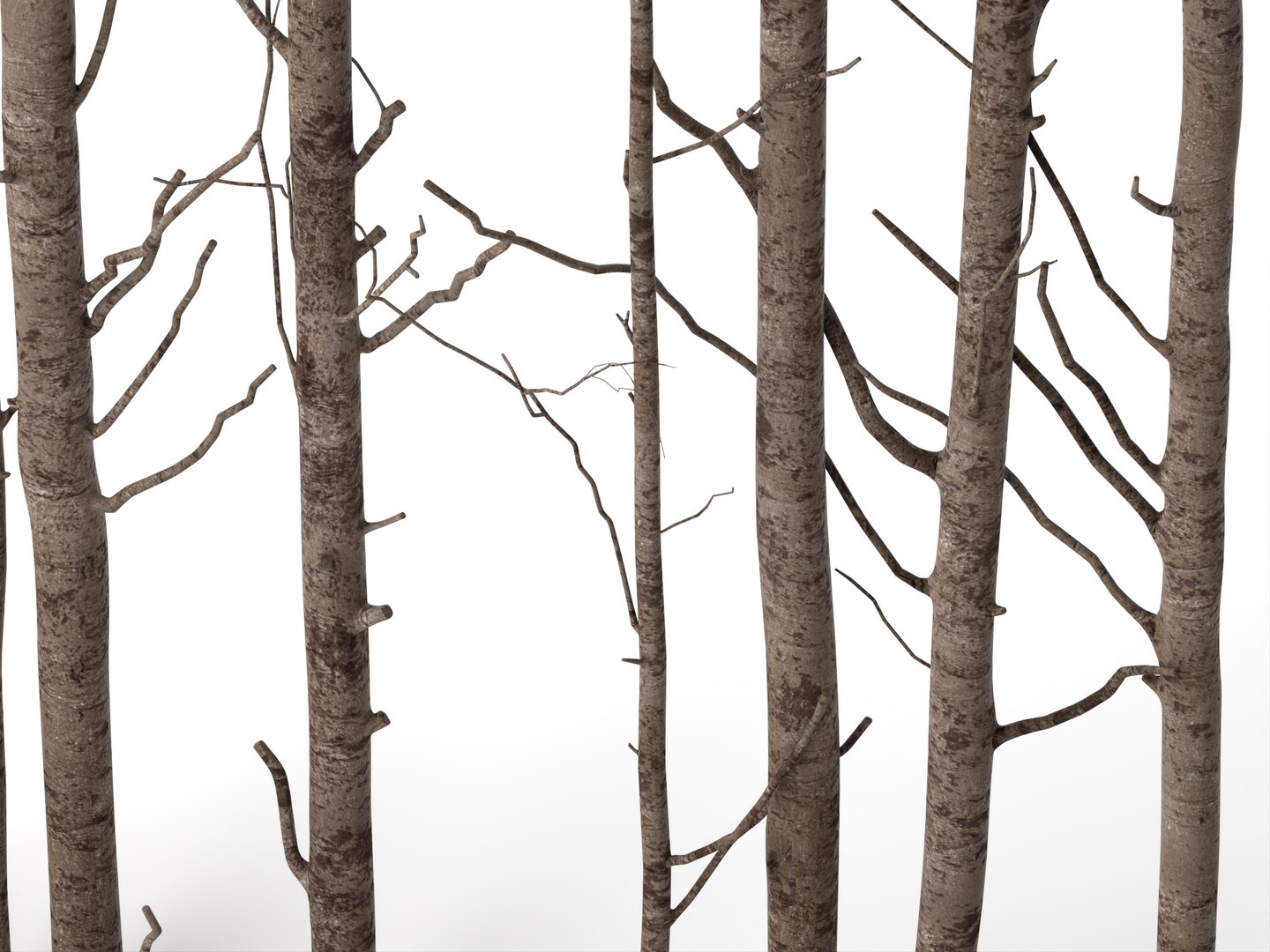 3D model Bare Tree Trunks Collection 3D Model https://p.turbosquid.com/ts-thumb/2T/t95MWZ/jp/756123656/jpg/1788835252/1920x1080/fit_q87/31eeaa051c2112576040c171b166c5fb301e289c/756123656.jpg