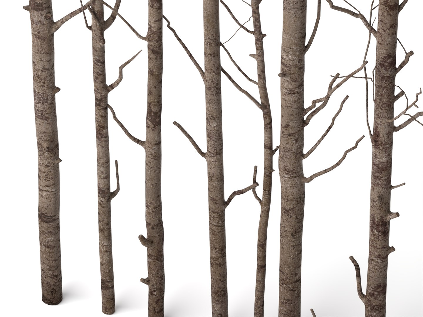 3D model Bare Tree Trunks Collection 3D Model https://p.turbosquid.com/ts-thumb/2T/t95MWZ/kf/756123655/jpg/1788835248/1920x1080/fit_q87/990b8e388bdbd84131d72458d13d1508b338e7e8/756123655.jpg