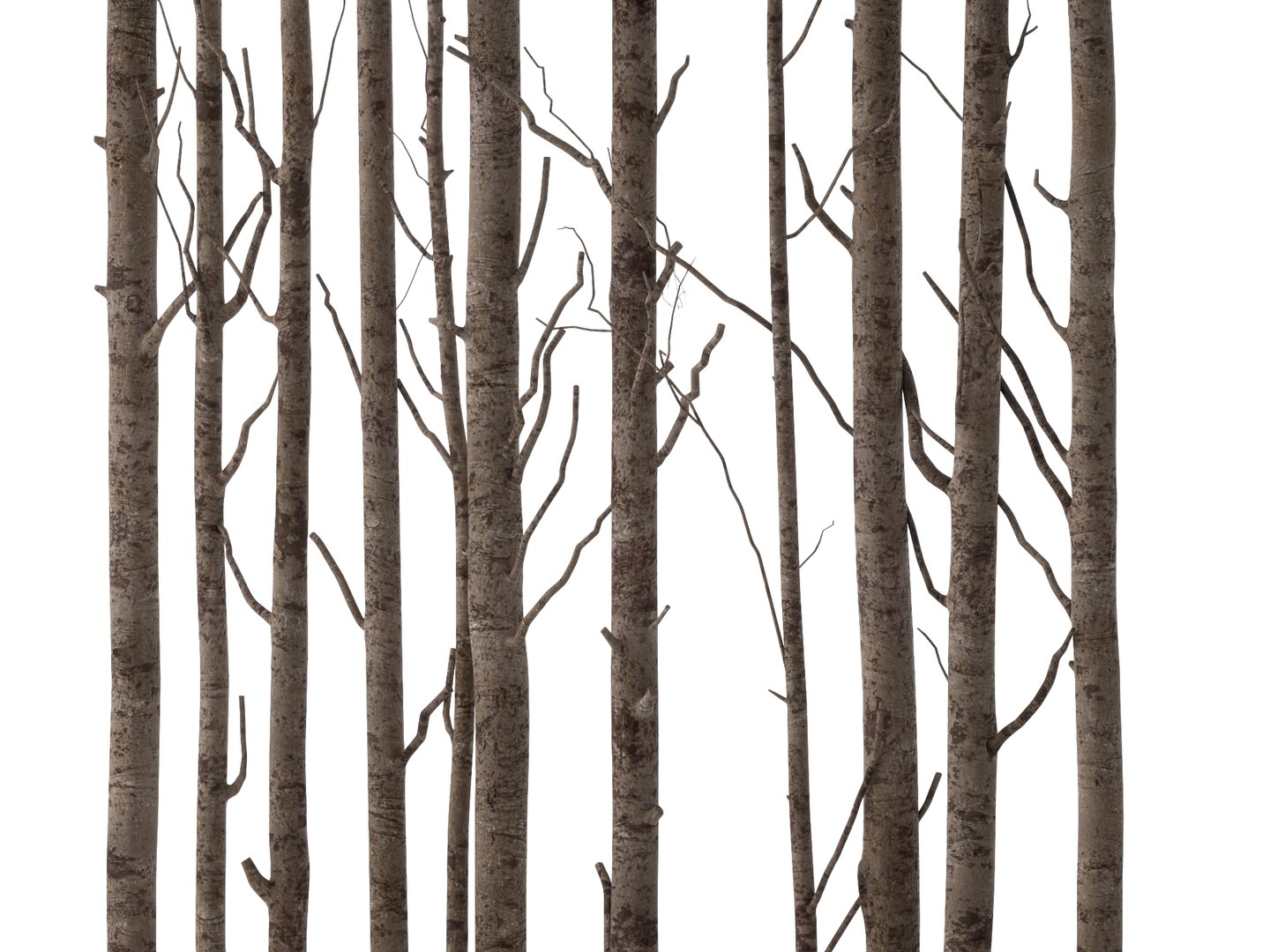 3D model Bare Tree Trunks Collection 3D Model https://p.turbosquid.com/ts-thumb/2T/t95MWZ/vH/756123653/jpg/1788835244/1920x1080/fit_q87/fa6bc109257ff1c727b9a4927efe08c0c3645cff/756123653.jpg