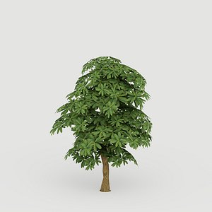 3D cerbera tree model