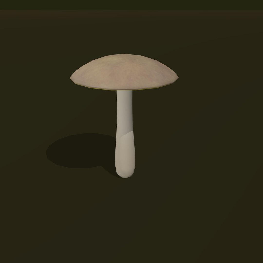 3d model of boletus cartoon https://p.turbosquid.com/ts-thumb/2T/yVtozJ/7fDcm12z/whiteboletus05/jpg/1388650231/1920x1080/fit_q87/f155d9542e219edf43f62abe09c1fa1bacf61102/whiteboletus05.jpg