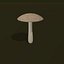Boletus bianco del fumetto